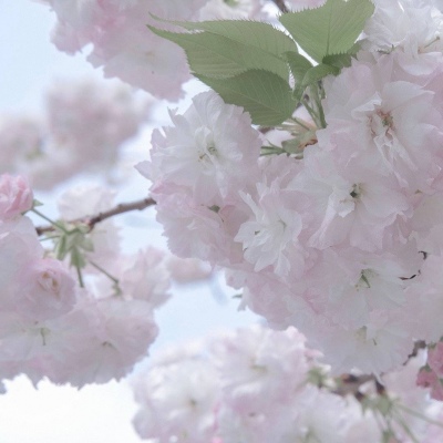 兽设故事创作思路FurryQQ群